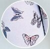 KNITTEX RAJSTOPY DZIEWCZĘCE MARIPOSA 40 DEN SALE